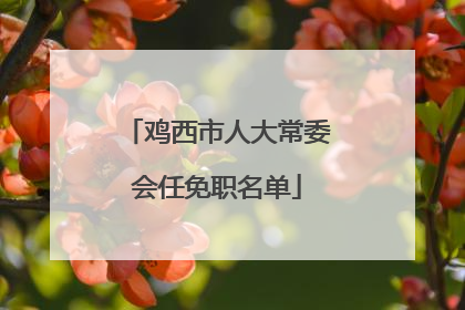 鸡西市人大常委会任免职名单