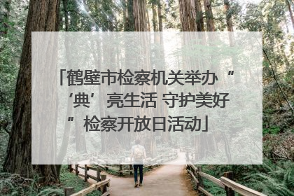 鹤壁市检察机关举办“‘典’亮生活 守护美好”检察开放日活动