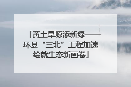 黄土旱塬添新绿——环县“三北”工程加速绘就生态新画卷