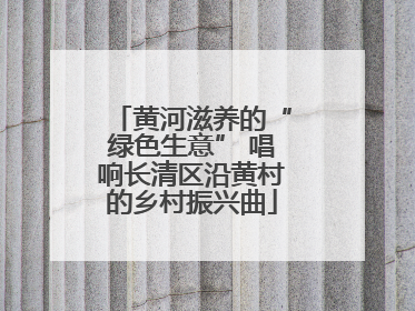 黄河滋养的“绿色生意” 唱响长清区沿黄村的乡村振兴曲