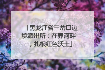 黑龙江省三岔口边境派出所：在界河畔，扎根红色沃土