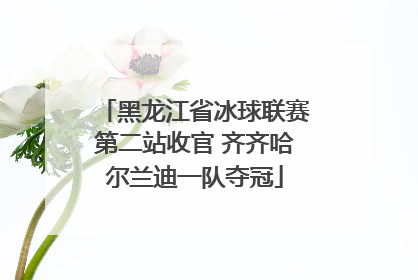 黑龙江省冰球联赛第二站收官 齐齐哈尔兰迪一队夺冠