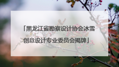 黑龙江省勘察设计协会冰雪创意设计专业委员会揭牌