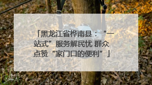 黑龙江省桦南县：“一站式”服务解民忧 群众点赞“家门口的便利”