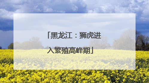 黑龙江：狮虎进入繁殖高峰期