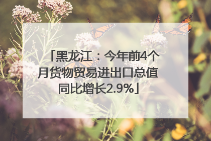 黑龙江：今年前4个月货物贸易进出口总值同比增长2.9%