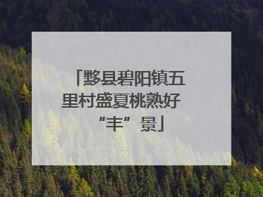 黟县碧阳镇五里村盛夏桃熟好“丰”景