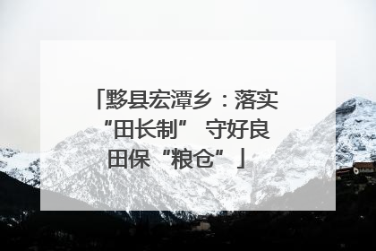 黟县宏潭乡：落实“田长制” 守好良田保“粮仓”