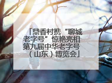 鼎香村携“聊城老字号”惊艳亮相第九届中华老字号（山东）博览会