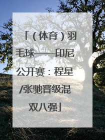 （体育）羽毛球——印尼公开赛：程星/张驰晋级混双八强