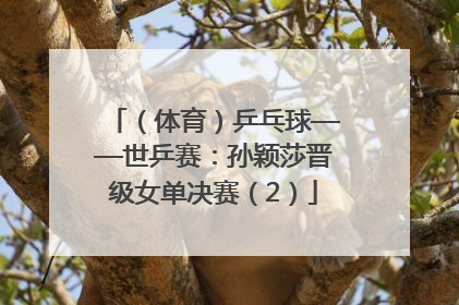 （体育）乒乓球——世乒赛：孙颖莎晋级女单决赛（2）