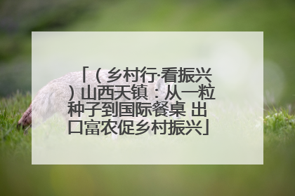 （乡村行·看振兴）山西天镇：从一粒种子到国际餐桌 出口富农促乡村振兴