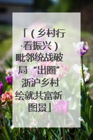 （乡村行·看振兴）毗邻统战破局“出圈” 浙沪乡村绘就共富新图景