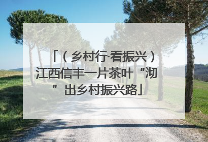 （乡村行·看振兴）江西信丰一片茶叶“沏”出乡村振兴路