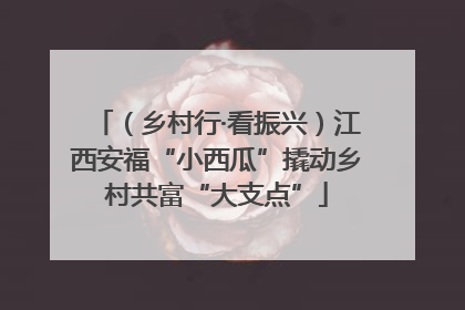 （乡村行·看振兴）江西安福“小西瓜”撬动乡村共富“大支点”
