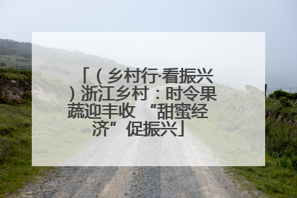 （乡村行·看振兴）浙江乡村：时令果蔬迎丰收 “甜蜜经济”促振兴