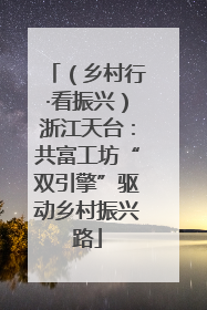 （乡村行·看振兴）浙江天台：共富工坊“双引擎”驱动乡村振兴路