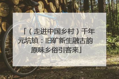 （走进中国乡村）千年元坑镇：旧矿新生融古韵 原味乡俗引客来