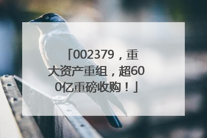 002379，重大资产重组，超600亿重磅收购！