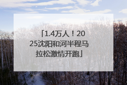 1.4万人！2025沈阳和河半程马拉松激情开跑