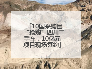 10国采购团“抢购”四川二手车，10亿元项目现场签约