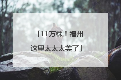 11万株！福州这里太太太美了