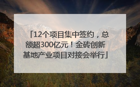 12个项目集中签约，总额超300亿元！金砖创新基地产业项目对接会举行