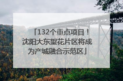 132个重点项目！沈阳大东望花片区将成为产城融合示范区
