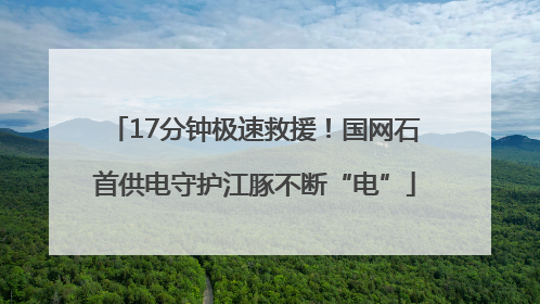 17分钟极速救援！国网石首供电守护江豚不断“电”