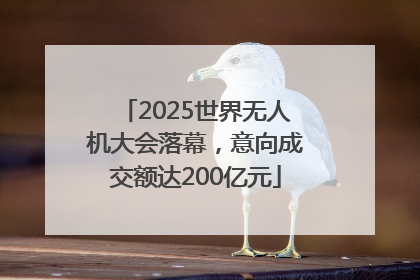 2025世界无人机大会落幕，意向成交额达200亿元