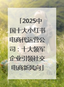 2025中国十大小红书电商代运营公司：十大领军企业引领社交电商新风向