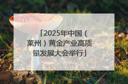 2025年中国（莱州）黄金产业高质量发展大会举行