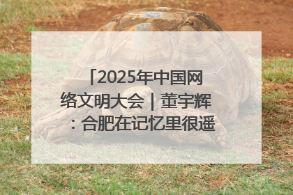 2025年中国网络文明大会｜董宇辉：合肥在记忆里很遥远也很亲切
