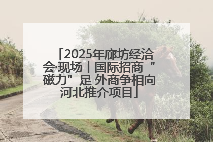 2025年廊坊经洽会·现场丨国际招商“磁力”足 外商争相向河北推介项目