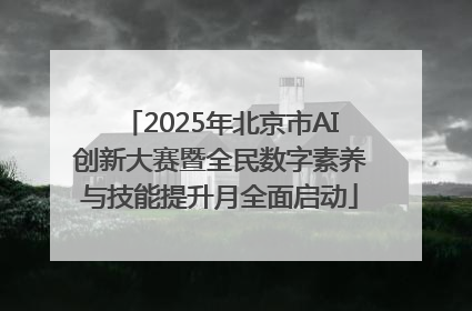 2025年北京市AI创新大赛暨全民数字素养与技能提升月全面启动