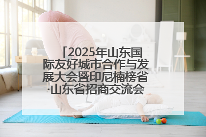 2025年山东国际友好城市合作与发展大会暨印尼楠榜省·山东省招商交流会在济南槐荫举行