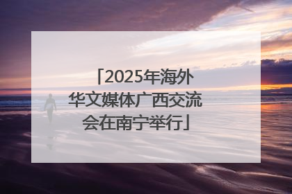 2025年海外华文媒体广西交流会在南宁举行