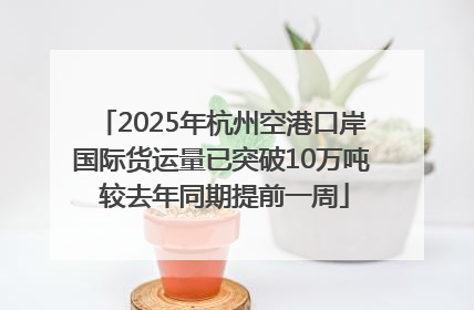 2025年杭州空港口岸国际货运量已突破10万吨 较去年同期提前一周
