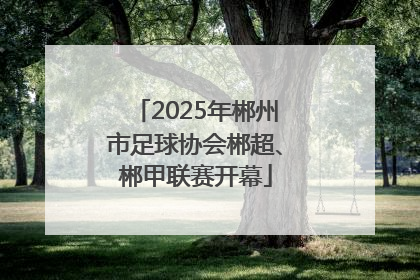 2025年郴州市足球协会郴超、郴甲联赛开幕