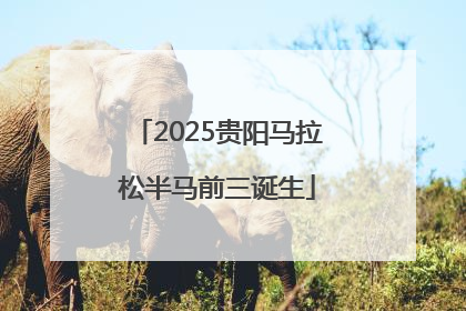 2025贵阳马拉松半马前三诞生