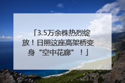 3.5万余株热烈绽放！日照这座高架桥变身“空中花廊”！