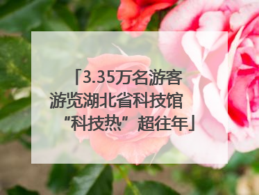 3.35万名游客游览湖北省科技馆 “科技热”超往年