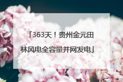 363天！贵州金元田林风电全容量并网发电