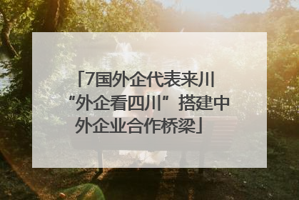 7国外企代表来川 “外企看四川”搭建中外企业合作桥梁