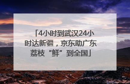 4小时到武汉24小时达新疆，京东助广东荔枝“鲜”到全国