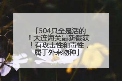 504只全是活的！大连海关最新截获！有攻击性和毒性，属于外来物种