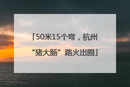 50米15个弯，杭州“猪大肠”路火出圈