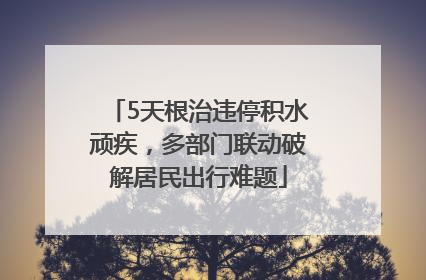 5天根治违停积水顽疾，多部门联动破解居民出行难题