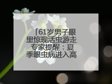 61岁男子眼里惊现活虫游走 专家提醒：夏季眼虫病进入高发期注意防护