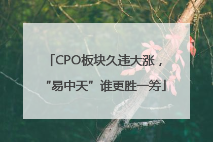 CPO板块久违大涨，“易中天”谁更胜一筹